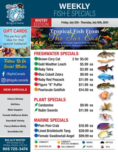 Big Al's (Whitby) Weekly Specials July 12 to 18