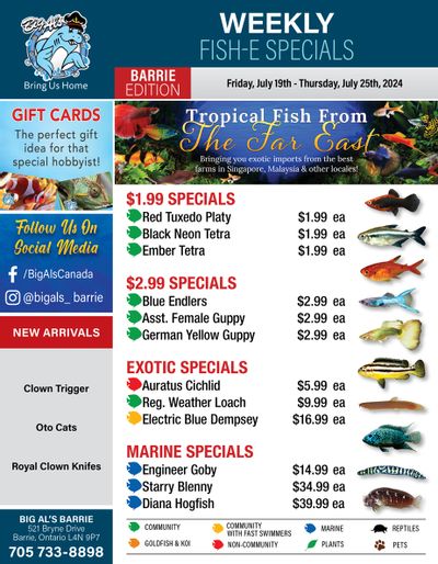 Big Al's (Barrie) Weekly Specials July 19 to 25