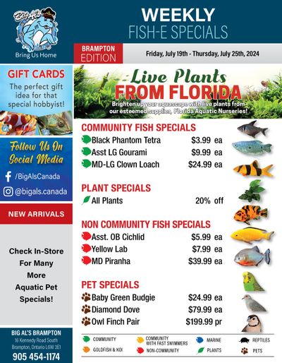 Big Al's (Brampton) Weekly Specials July 19 to 25