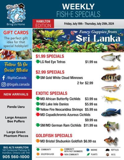 Big Al's (Hamilton) Weekly Specials July 19 to 25