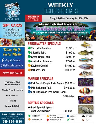 Big Al's (Kitchener) Weekly Specials July 19 to 25
