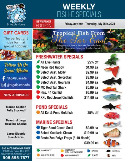 Big Al's (Newmarket) Weekly Specials July 19 to 25