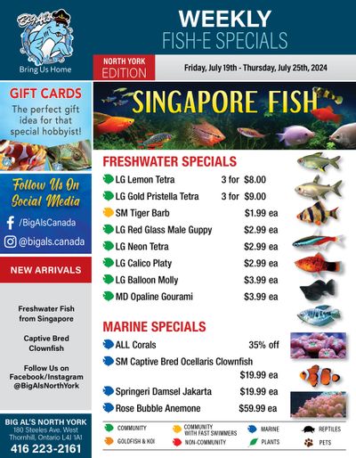 Big Al's (North York) Weekly Specials July 19 to 25