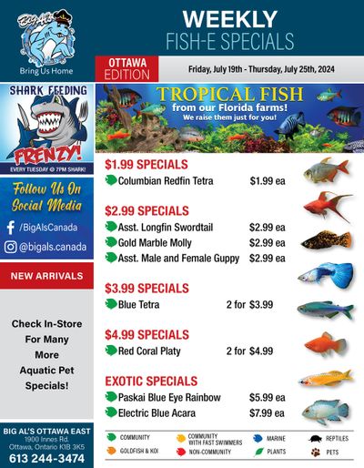 Big Al's (Ottawa) Weekly Specials July 19 to 25