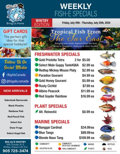 Big Al's (Whitby) Weekly Specials July 19 to 25