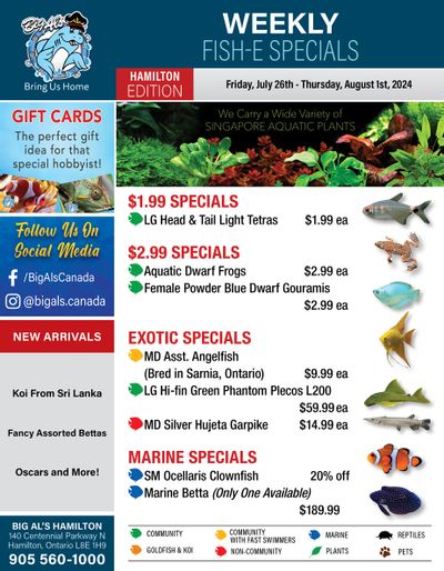 Big Al's (Hamilton) Weekly Specials July 26 to August 1