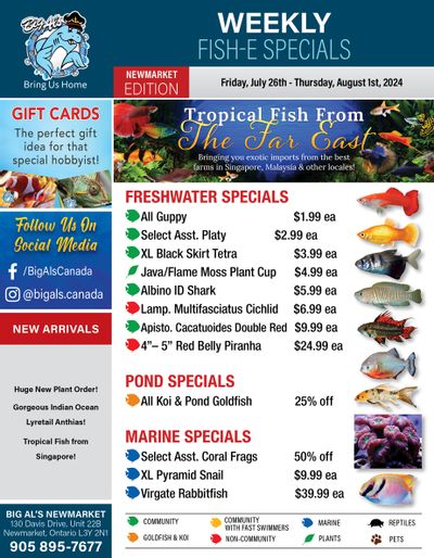 Big Al's (Newmarket) Weekly Specials July 26 to August 1