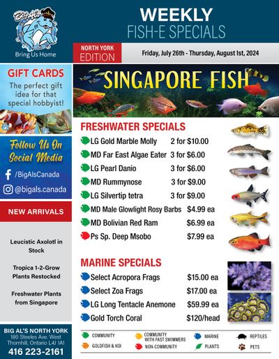Big Al's (North York) Weekly Specials July 26 to August 1