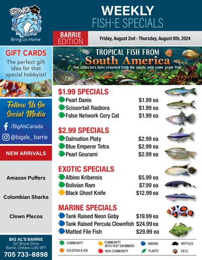 Big Al's (Barrie) Weekly Specials August 2 to 8