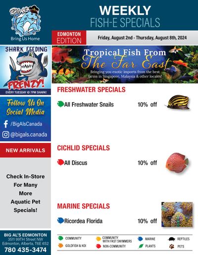 Big Al's (Edmonton) Weekly Specials August 2 to 8