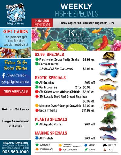 Big Al's (Hamilton) Weekly Specials August 2 to 8