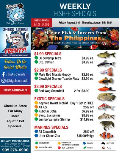 Big Al's (Mississauga) Weekly Specials August 2 to 8