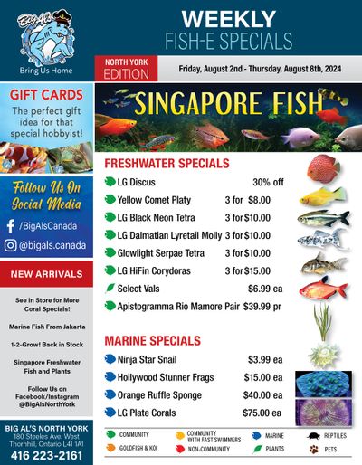 Big Al's (North York) Weekly Specials August 2 to 8