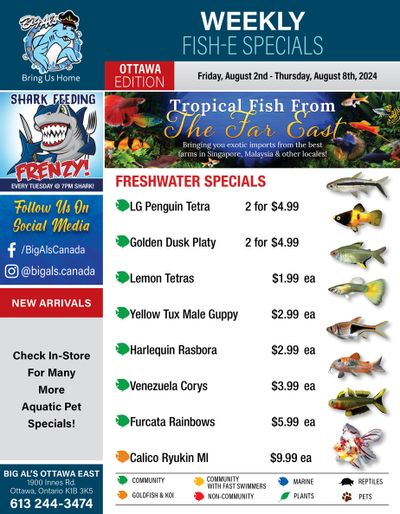 Big Al's (Ottawa) Weekly Specials August 2 to 8