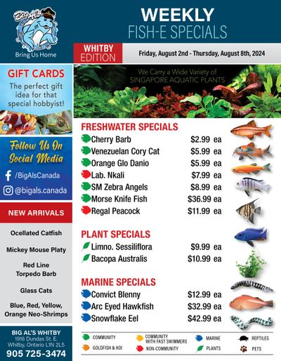 Big Al's (Whitby) Weekly Specials August 2 to 8