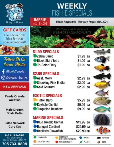 Big Al's (Barrie) Weekly Specials August 9 to 15