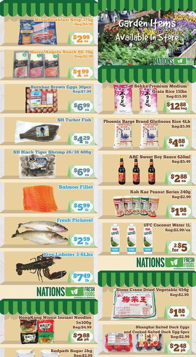 Nations Fresh Foods (Mississauga) Flyer June 5 to 11