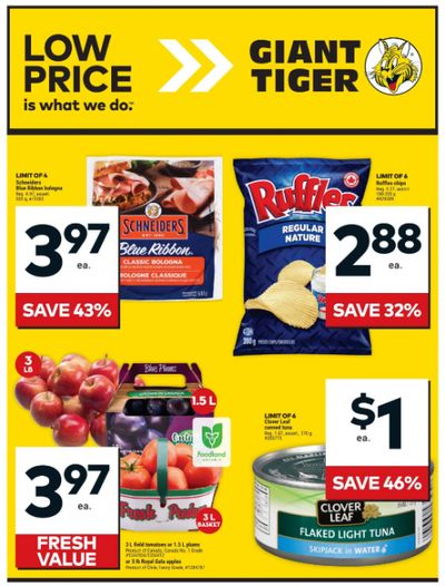 Giant Tiger Canada: Get A $10 GT Gift Card When You Spend $100 on IKEA, Google Play, Sephora, or Apple Gift Cards + Flyer Deals