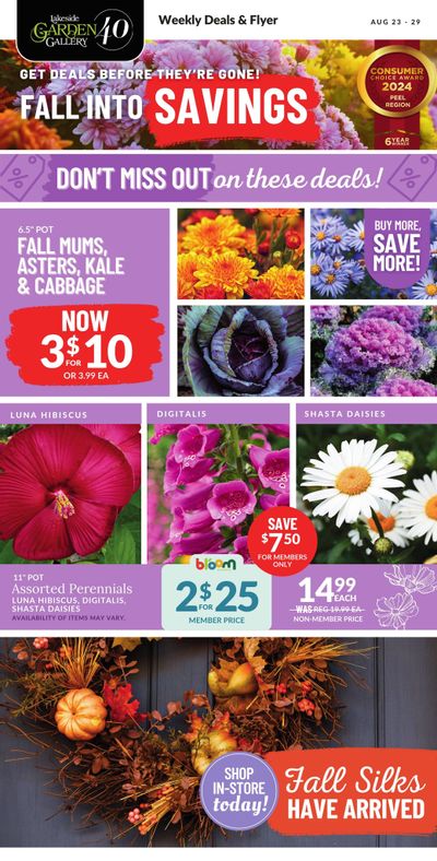 Lakeside Garden Gallery Flyer August 23 to 29