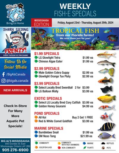 Big Al's (Mississauga) Weekly Specials August 23 to 29
