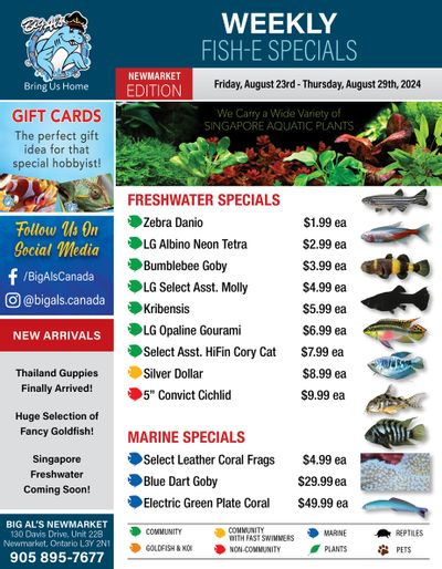 Big Al's (Newmarket) Weekly Specials August 23 to 29 Big Al's (Newmarket) Weekly Specials August 23 to 29