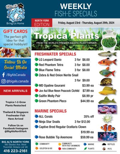 Big Al's (North York) Weekly Specials August 23 to 29