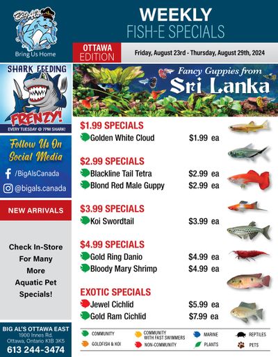 Big Al's (Ottawa) Weekly Specials August 23 to 29