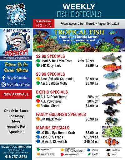 Big Al's (Scarborough) Weekly Specials August 23 to 29