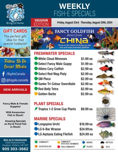 Big Al's (Vaughan) Weekly Specials August 23 to 29
