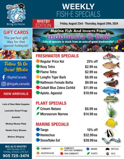 Big Al's (Whitby) Weekly Specials August 23 to 29