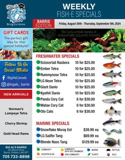 Big Al's (Barrie) Weekly Specials August 30 to September 5