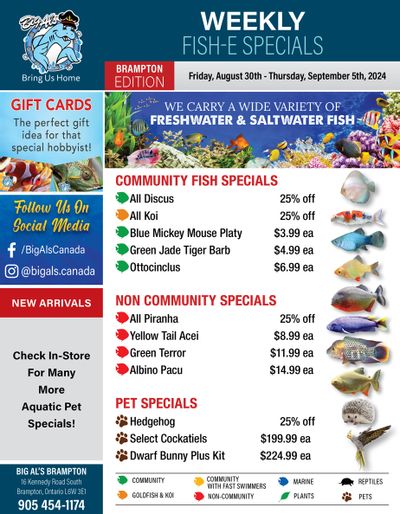 Big Al's (Brampton) Weekly Specials August 30 to September 5