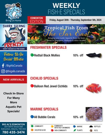 Big Al's (Edmonton) Weekly Specials August 30 to September 5