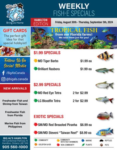 Big Al's (Hamilton) Weekly Specials August 30 to September 5