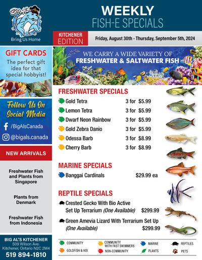 Big Al's (Kitchener) Weekly Specials August 30 to September 5