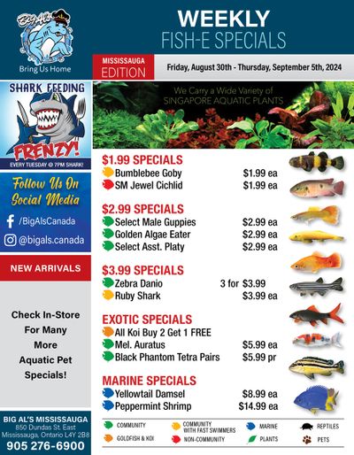Big Al's (Mississauga) Weekly Specials August 30 to September 5