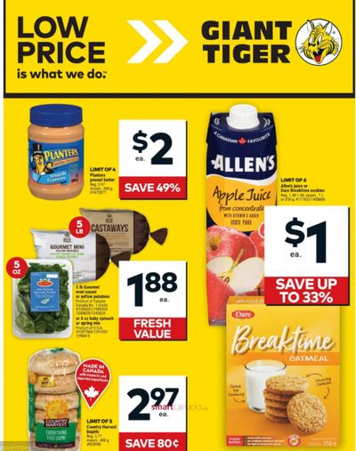 Giant Tiger Canada Flyer Deals October 30th – November 5th