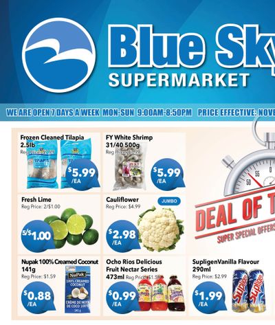 Blue Sky Supermarket (North York) Flyer November 1 to 7
