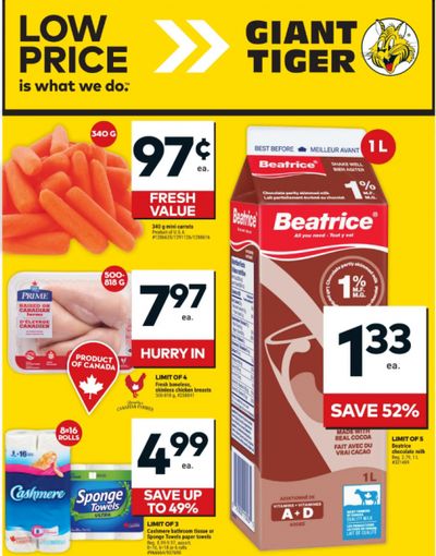 Giant Tiger Canada Flyer Deals November 6th – 12th