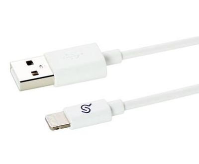 Lightning Cable, Apple MFi Certified Lightning to USB 3FT (1m) Charging Sync Cable - 1/Pack, White For $5.99 At PrimeCables Canada