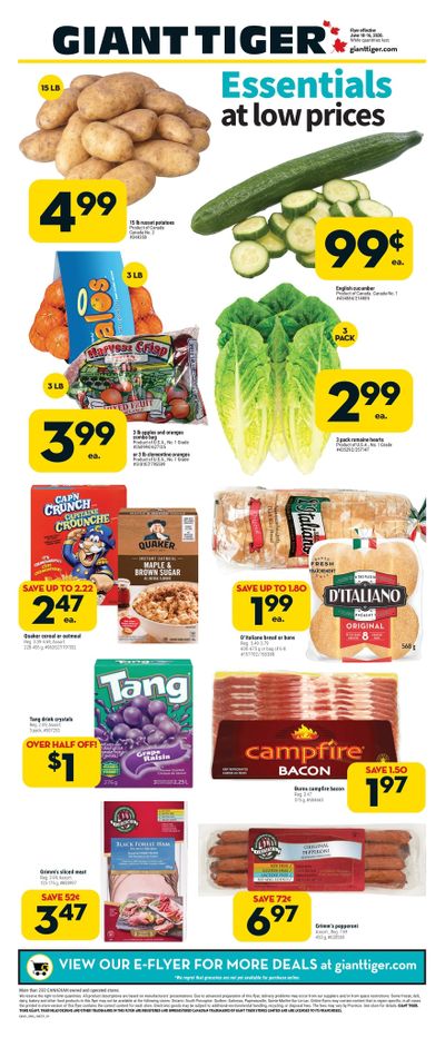 Giant Tiger (West) Flyer June 10 to 16
