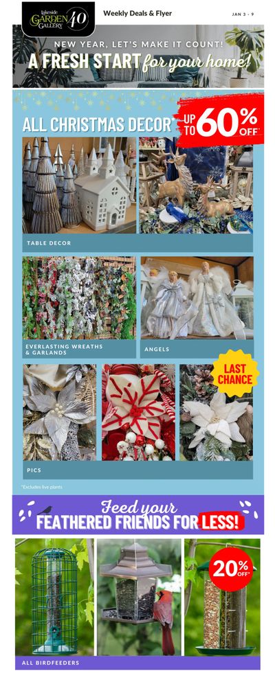 Lakeside Garden Gallery Flyer January 3 to 9