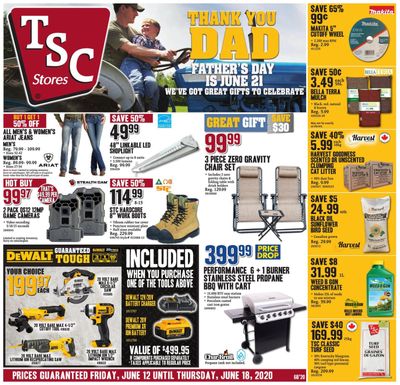 TSC Stores Flyer June 12 to 18