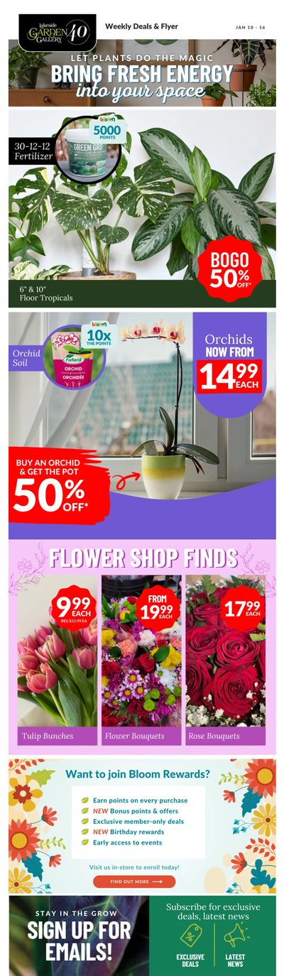 Lakeside Garden Gallery Flyer January 10 to 16