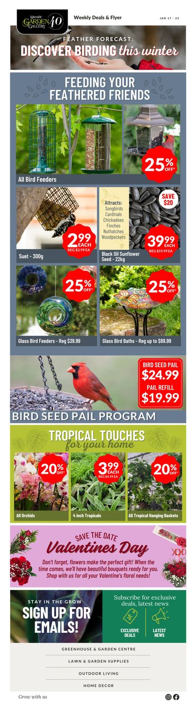 Lakeside Garden Gallery Flyer January 17 to 23