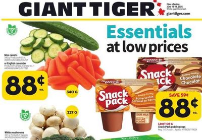 Giant Tiger Canada: Flyer Deals Until June 16th