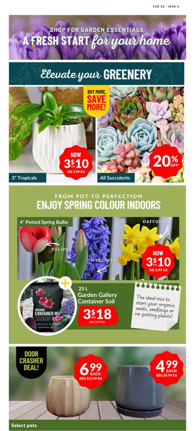 Lakeside Garden Gallery Flyer February 28 to March 6