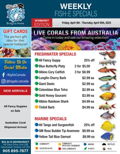 Big Al's (Newmarket) Weekly Specials April 4 to 10