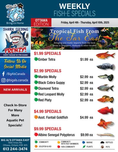 Big Al's (Ottawa) Weekly Specials April 4 to 10