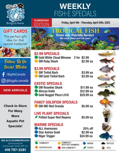 Big Al's (Scarborough) Weekly Specials April 4 to 10